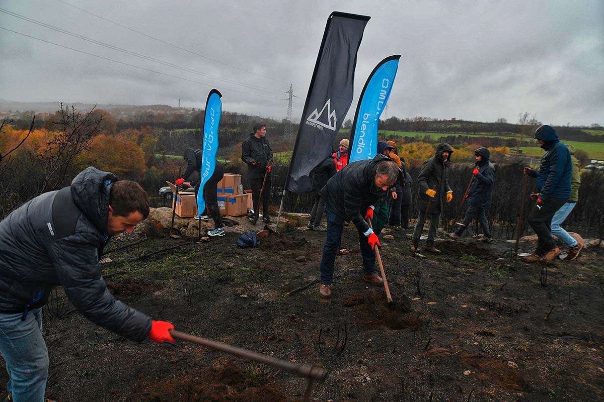 OMODA & JAECOO impulsa la reforestación en Orense